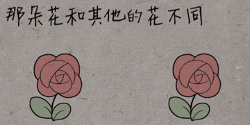 中国式脑洞第13关那朵花和其他的花不同
