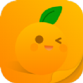 橘子小说阅读器app下载_橘子小说阅读器app最新版免费下载