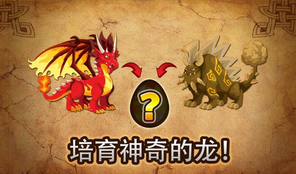 dragoncity中文版